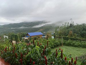 booking đợt 1 - giá f0 - đất ôm suối - view rừng thông nguyên sinh - cách cao tốc chỉ 8 phút