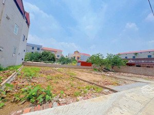 bán đất xã bát trang, an lão, hải phòng