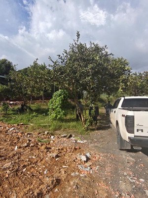 bán đất bảo lâm cách nút ra cao tốc bảo lộc 20km, chỉ 330 triệu/110m2