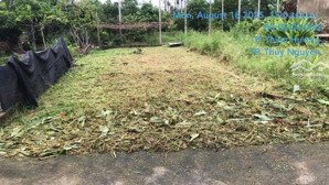 duy nhất 1 lô tdp, phường thiên hương giá rẻ, hàng hiếm. diện tích 87,3m2. giá đầu tư 1 tỷ 270