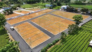 bán lô đất 96m² giá f0 vị trí đắc địa tại lạc thủy, hòa bình, 100% thổ cư, pháp lý chuẩn