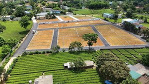 bán lô đất 65m² thổ cư 100% trung tâm lạc thủy, hòa bình, giá f0 cực tốt để đầu tư