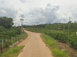 ngộp bank bán nhanh lô đất nam hà - lâm hà - lâm đồng