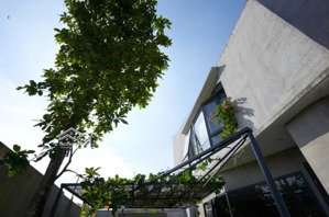 biệt thự riêng 202m2, sau vincom q9, tăng nhơn phú b, nhỉnh 11 tỷ sổ hồng riêng