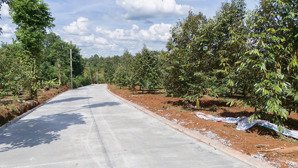 đất thổ cư mặt tiền bê tông 5x25 chỉ 445tr