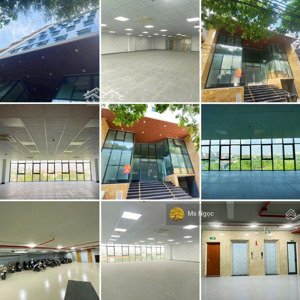 cho thuê văn phòng mới tại quận 1. diện tích 80m2 - 120m2 vs 200m2, nguyễn thái bình, quận 1