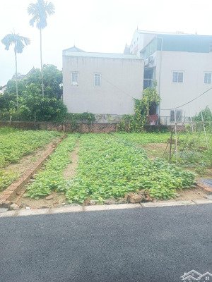 do chơi bời hơi quá cu em cần bán đất 45m2 đất khá đẹp vân nội, đông anh, hn 3 tỷ, ô tô đỗ cửa .