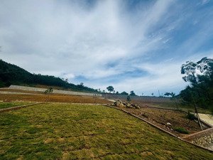 mảnh đất đẹp vừa an cư, vừa tăng giá tại phú mãn, hòa lạc