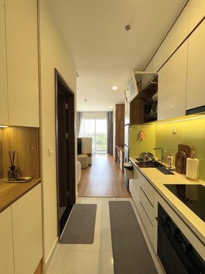 officetel 34m2 sunrise riverside - gần rmit, tdtu, quận 7 - đầy cơ bản như ảnh | lh 