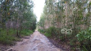 bán đất hẻm quốc lộ 55 và sông dinh giá rẻ