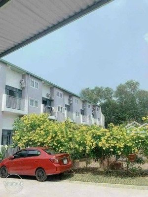 cho thuê căn hộ mini lê hồng phong phú lợi