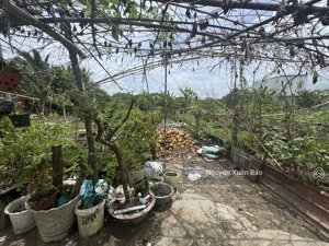 chính chủ gửi bán 115,2m2 thổ cư, hẻm xe ba gác đường bờ xe lam, vòng xoay an lạc 1km.giá 2ty75