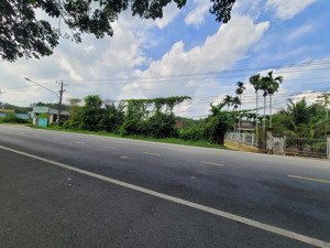 cần bán 1,7 héc đất có sẵn 1,1 héc skc và 2000m2 thổ cư tại phường chánh phú hòa, tp hồ chí minh