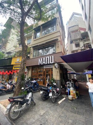 cho thuê mặt phố nguyên hồng, đống đa, diện tích 60m2x5tầng mặt tiền 5m không giới hạn mô hình