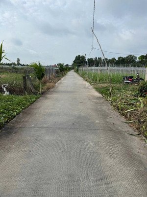 bán 690m2 đất lúa cách 827b 70m phú ngãi trị, châu thành, dt: 10x44m nở hậu 22.5m (cho chuyển thổ)