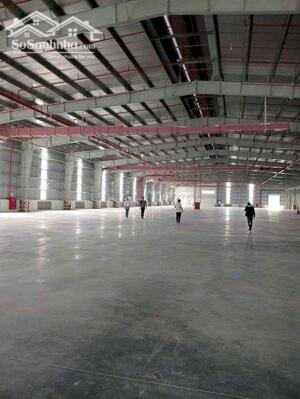 Hót Hót Cho Thuê Xưởng Mới 100% Diện Tích Xưởng: 12.000m