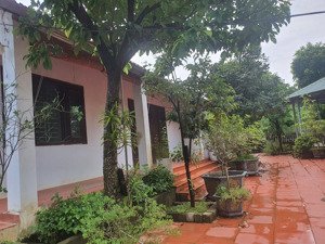 gần 2000m2 nhà vườn nghỉ dưỡng gần trung tâm yên bài ba vì hà nội giá rẻ