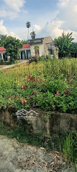 cc cần bán lô đất 200m2 thổ cư cẩm nê- ngay cầu đỏ rất đẹp và thoáng mát . lh 