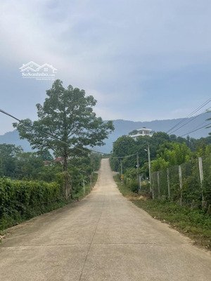 *cơ hội đầu tư bất động sản nghỉ dưỡng siêu tiềm năng tại ba vì, hà nội!