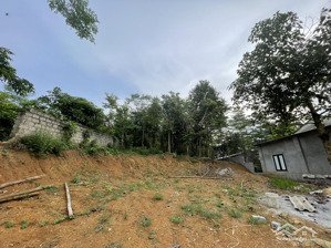 siêu phẩm đất nghỉ dưỡng tại ba vì, hà nội! 