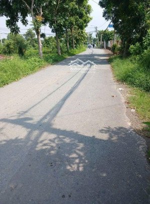 bán 2 nền đất vườn giá ngộp bùi văn sự, qui đức, bình chánh