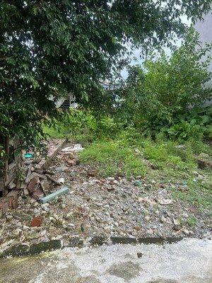 bán lô đất đẹp 70,5m2 tại bãi cát, dương quan, thủy nguyên, hải phòng