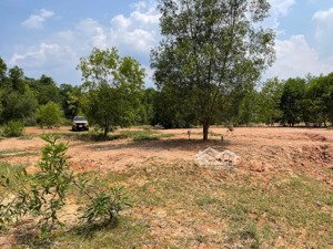 cho thuê 7 hecta đất an nhơn tây - củ chi, giá 15 tr tháng