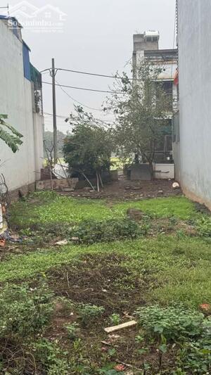  CƠ HỘI VÀNG CÓ 1 - 0 - 2 BÁN GẤP ĐẤT PHÂN LÔ - VỈA HÈ - BIÊN GIANG 56m MẶT 5m 3.8 TỶ 