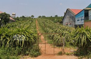 chính chủ gửi bán đất trung tâm nam hà-lâm hà-lâm đồng