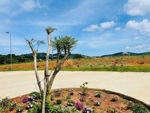 đất ven đà lạt giá tốt nhất khu vực