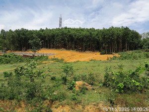 ngân hàng bán đất khu vôi, thị trấn ba hàng đồi, lạc thủy, hòa bình