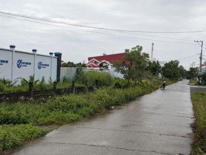 đất tân bửu diện tích 4873m2 có 400m2 thổ cư. đất hướng đông mặt bằng hàng rào có sẵn