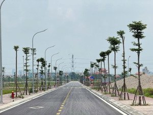 đất khu tái định cư vành đai 4, giáp vinhomes ocean park 2