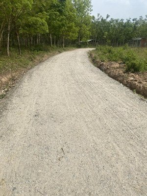 bán đất tại đường 749, xã long nguyên, bàu bàng, bình dương, giá siêu hời 1,4 tỷ, 1000m2