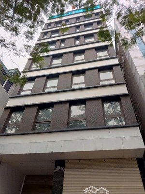 mặt phố nguyễn văn cừ tòa nhà 8 tầng hầm nổi thang máy nhập khẩu doanh thu 3 tỷ/năm