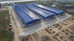 Cho thuê kho xưởng 9,800m2 KCN Phú Mỹ 1, BRVT