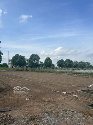 bán đất nền dự án cienco 5 mê linh, tiền phong, h mê linh. giá 13,5 tỷ cho 198,35m2, giá bán nhanh