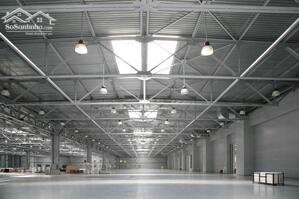 Cho Thuê Xưởng Bến Lức 30.000m² Cắt Lẻ Từ 3.000m², Gần Sông Vàm Cỏ, Cảng Xuất Khẩu