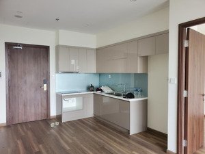 cho thuê căn hộ 2pn tại the zurich - vinhomes ocean park, 9 triệu, 56.5m2
