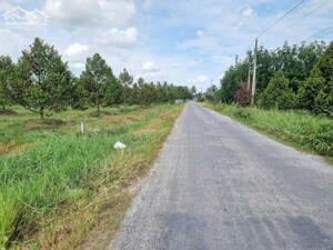 3600m2 đường nhựa. Ngay khu đô thị KCN Phước Đông. 2,6 tỷ