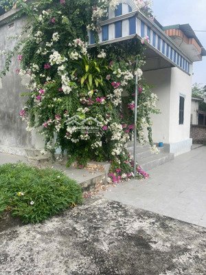 bán nhà vườn tại lương sơn, hòa bình