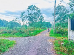 bán 1000m2 full màu hồng một sẹc hùng vương, vĩnh thanh. giá siêu mềm