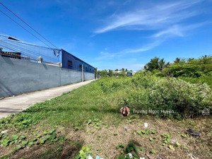 cần ra đi lô đất đ. nguyễn huệ, hội an đông gần chợ tt lấp vò, đồng tháp 120m2/550triệu. shr