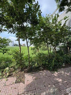 bán gấp đất nền dự án 99m2 giá siêu hời tại five star eco city, đinh đức thiện, cần giuộc, long an