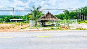 đất đẹp giá tốt đt750 dầu tiếng bình dương