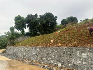 a45 bán đất đồng dâu tiến xuân 3.091,4m² 200m² thổ cư mặt tiền 34m đất đồi cao, thoáng rộng