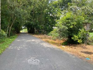 bán đất tóc tiên, 65m mặt tiền đường nhựa, giá tốt nhất thị trường!