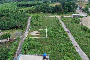 chính chủ bán đất nền - phường phước tân, tp. biên hòa, tỉnh đồng nai