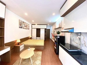 chính chủ khai trương căn hộ ccmn vip tại 173 tân mai dt40m2 đủ đồ giá 7tr.