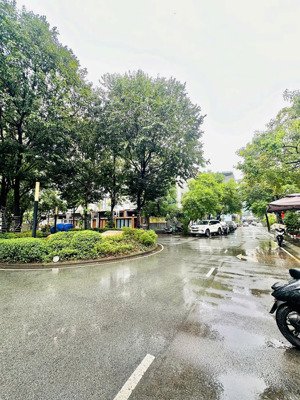 cho thuê nhà hẻm xe hơi số 220/5c nguyễn trọng tuyển, phường 8, quận phú nhuận